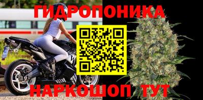 apvp Нарткала