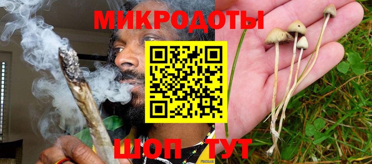 Галлюциногенные грибы MAGIC MUSHROOMS Губаха