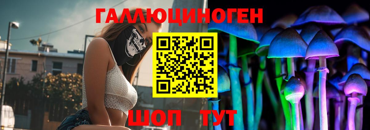 Галлюциногенные грибы MAGIC MUSHROOMS  Вход с VPN  Псилоцибиновые грибы прущие грибы  Губаха 
